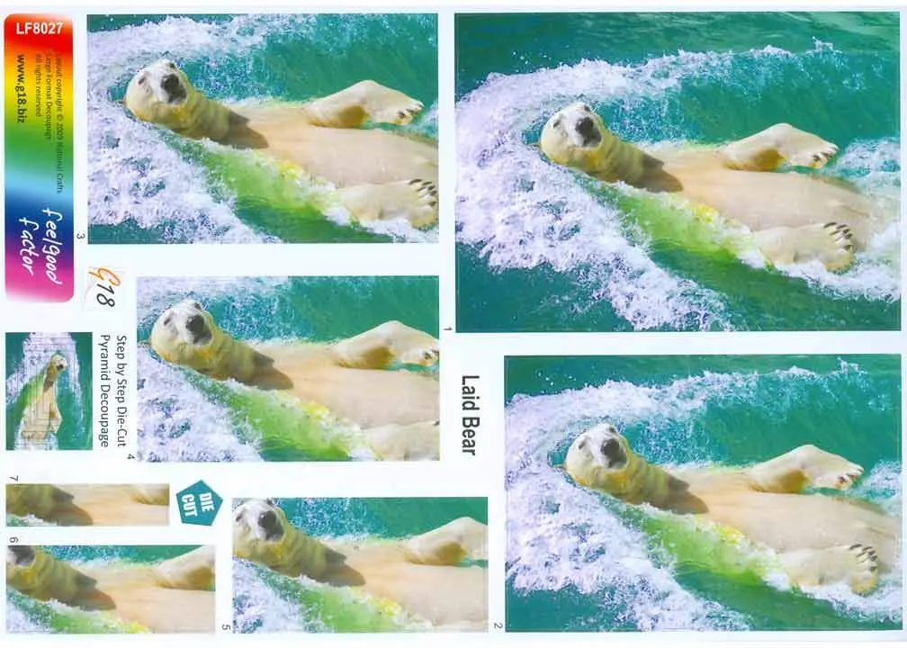 Large Format - Laid Back Bear 1