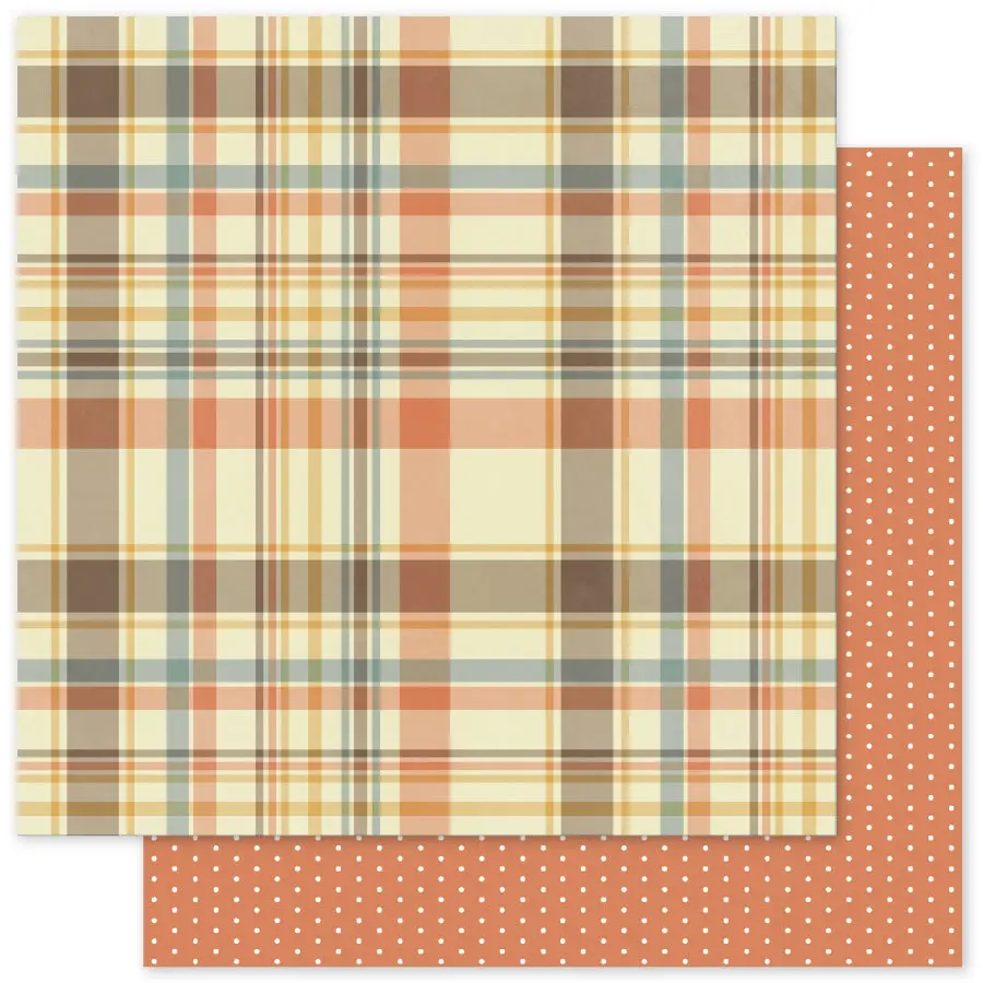Lakeside Memories Basics C 12 X 12 Paper (12 Pc Bulk Pack) 34725 1