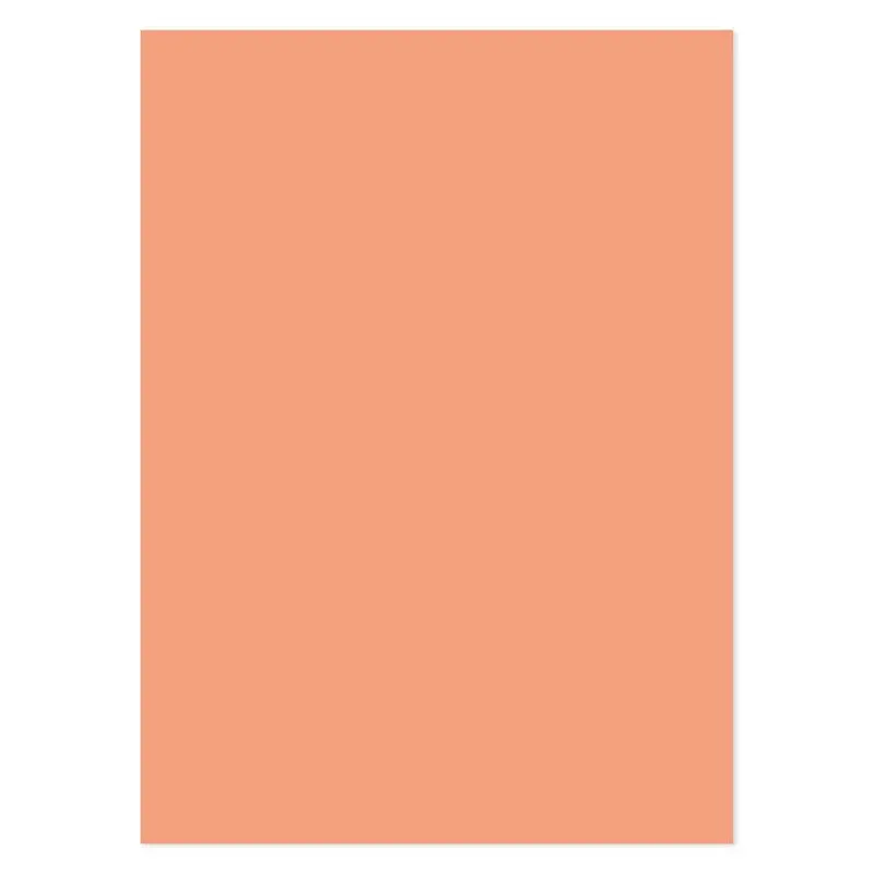 Matt-Tastic Adorable Scorable A4 Cardstock X 10 Sheets 1