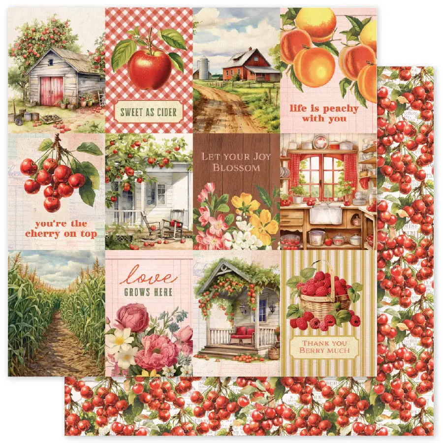 Meadowbrook Farm A 12 X 12 Paper (12 Pc Bulk Pack) 35022 1