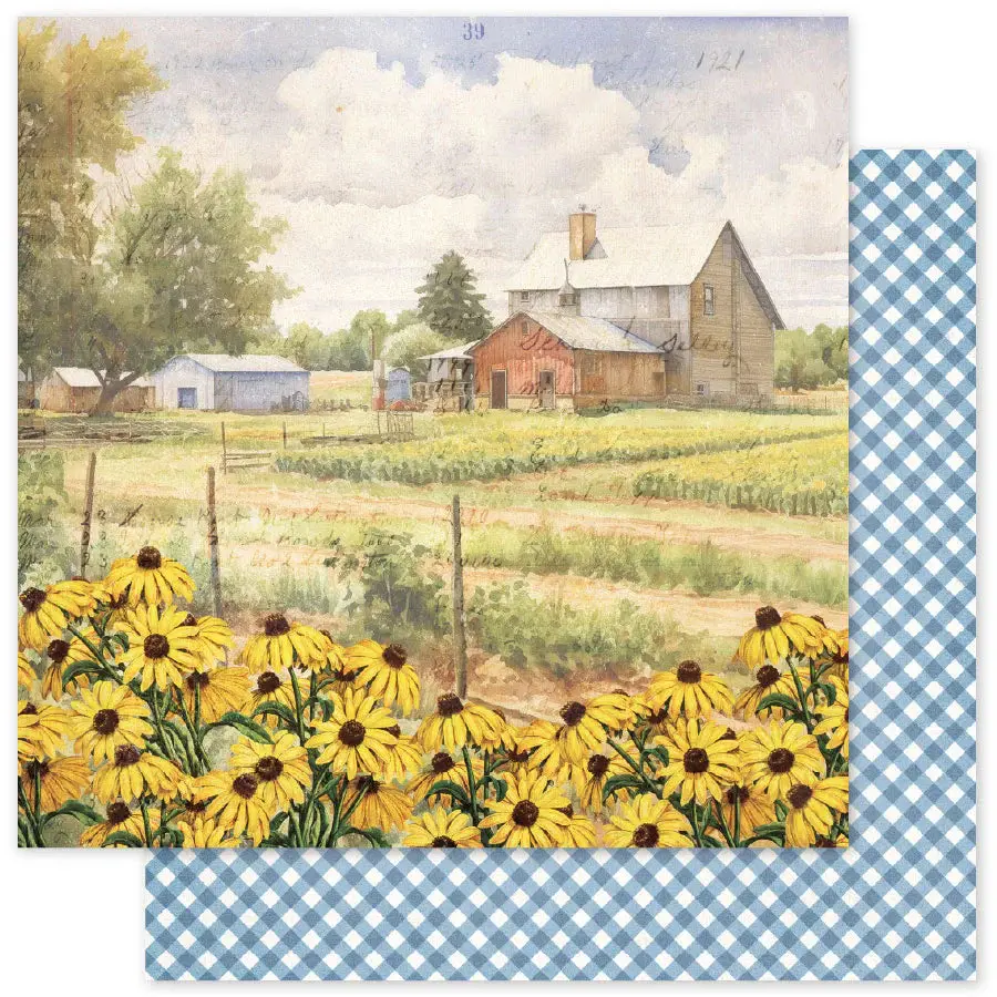 Meadowbrook Farm B 12 X 12 Paper (12 Pc Bulk Pack) 35025 1