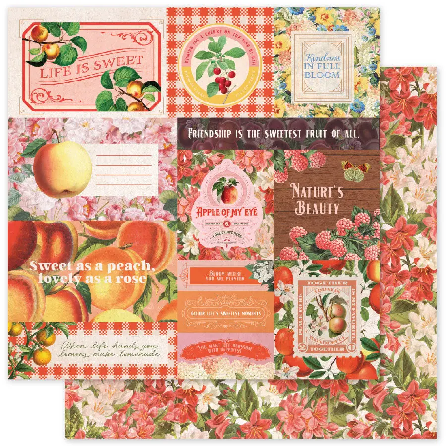 Meadowbrook Farm Basics A 12 X 12 Paper (12 Pc Bulk Pack) 35046 1