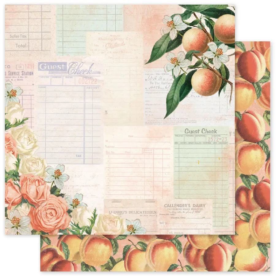 Meadowbrook Farm Basics C 12 X 12 Paper (12 Pc Bulk Pack) 35052 1