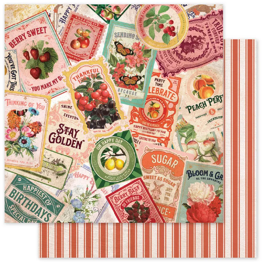 Meadowbrook Farm Basics E 12 X 12 Paper (12 Pc Bulk Pack) 35058 1
