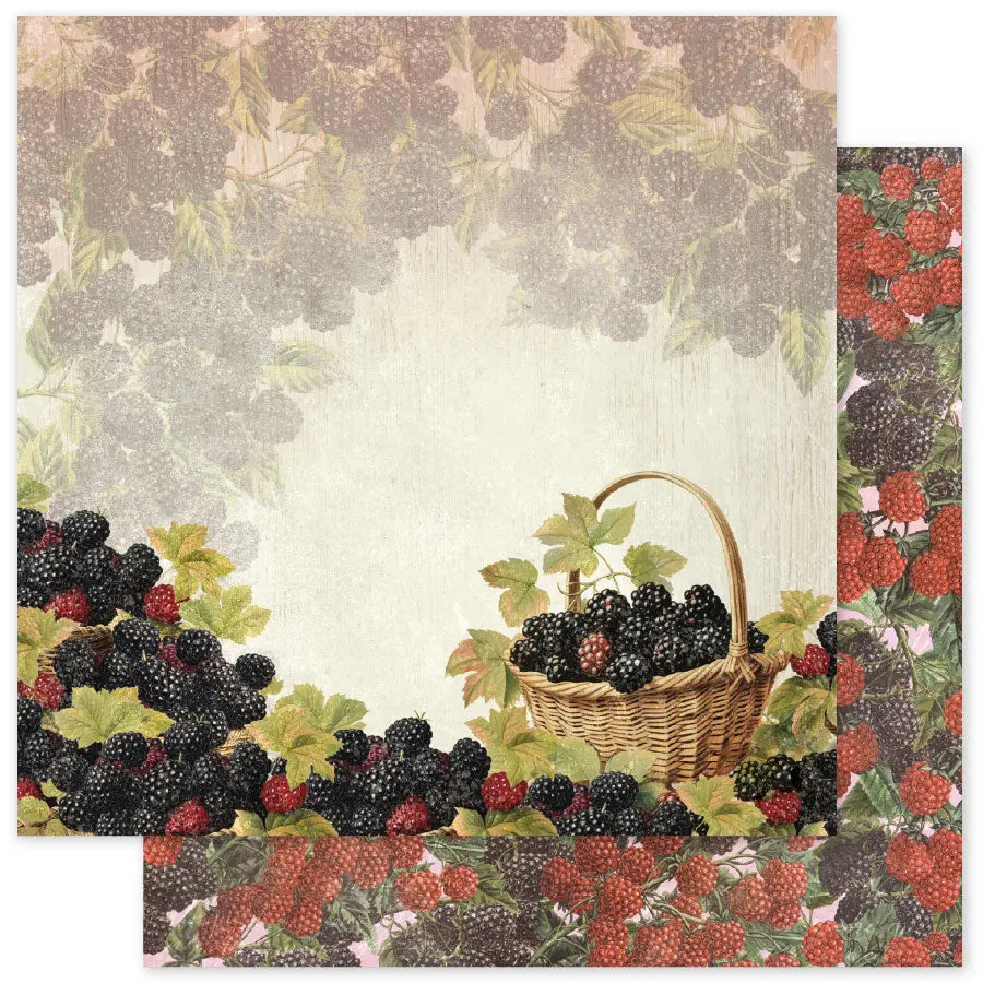 Meadowbrook Farm Basics F 12 X 12 Paper (12 Pc Bulk Pack) 35061 1