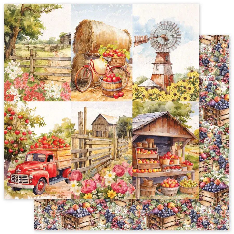 Meadowbrook Farm C 12 X 12 Paper (12 Pc Bulk Pack) 35028 1