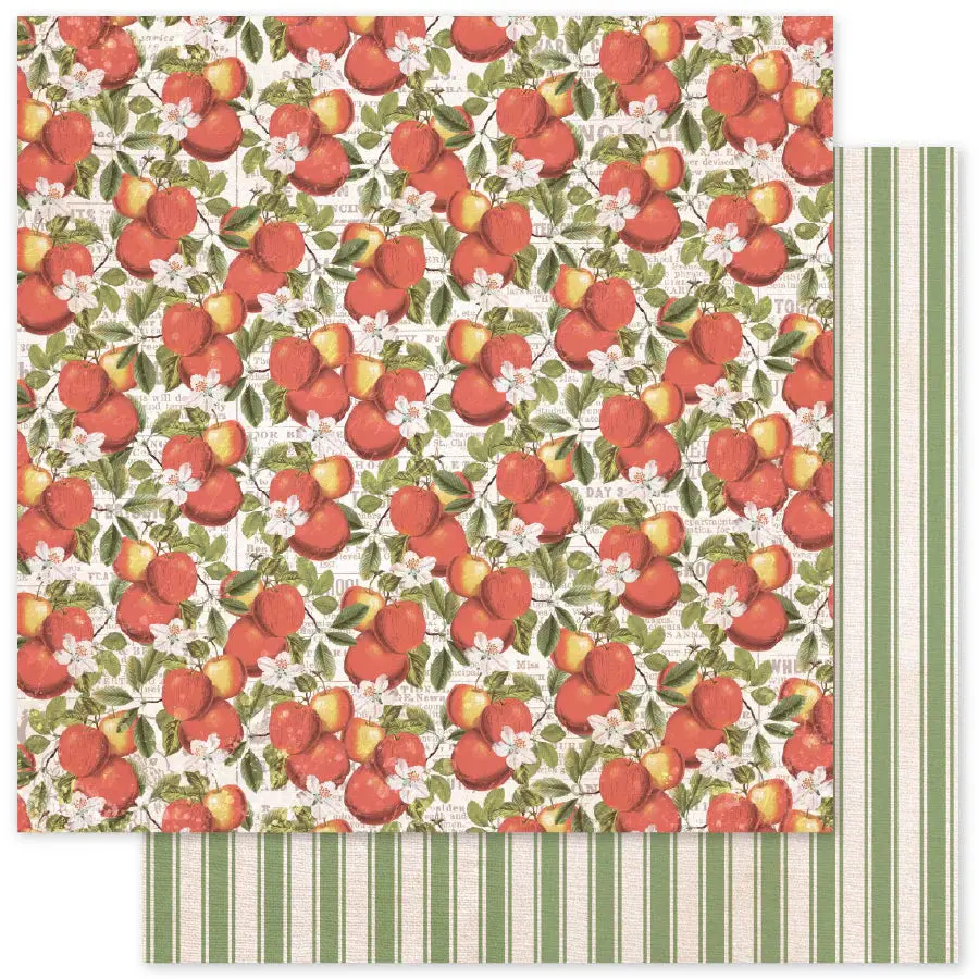 Meadowbrook Farm D 12 X 12 Paper (12 Pc Bulk Pack) 35031 1