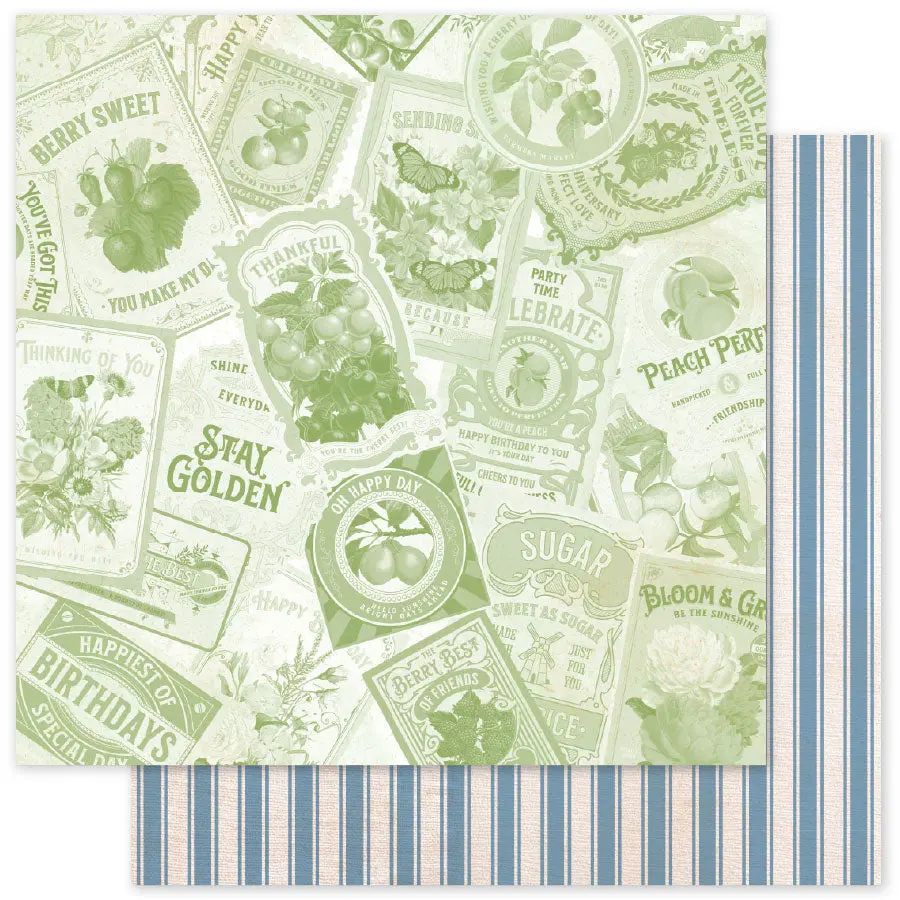 Meadowbrook Farm Patterns E 12 X 12 Paper (12 Pc Bulk Pack) 35103 1