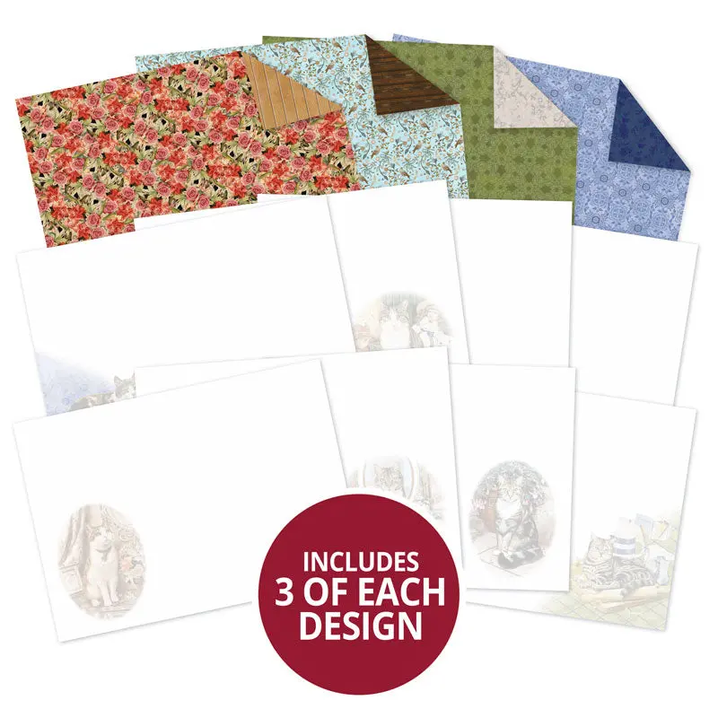 Purr-Fect Days Luxury Inserts & Papers 1