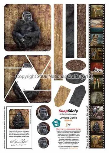 G18 Snapshots Lowland Gorilla 1