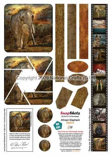 G18 Snapshots African Elephant 1