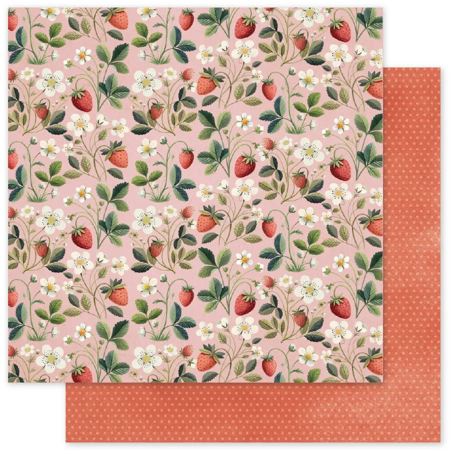 Strawberry Friends B 12 X 12 Paper (12 Pc Bulk Pack) 34866 1