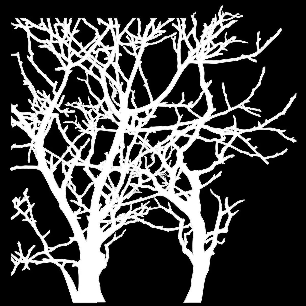 The Crafters Workshop 6X6 Stencil Branches 1