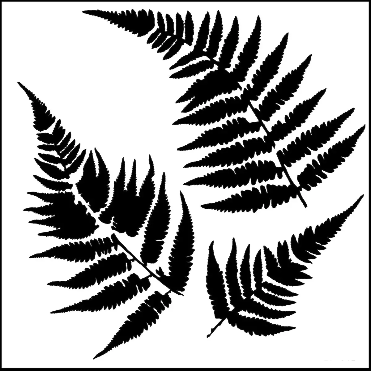The Crafters Workshop 6X6 Stencil Ferns 1