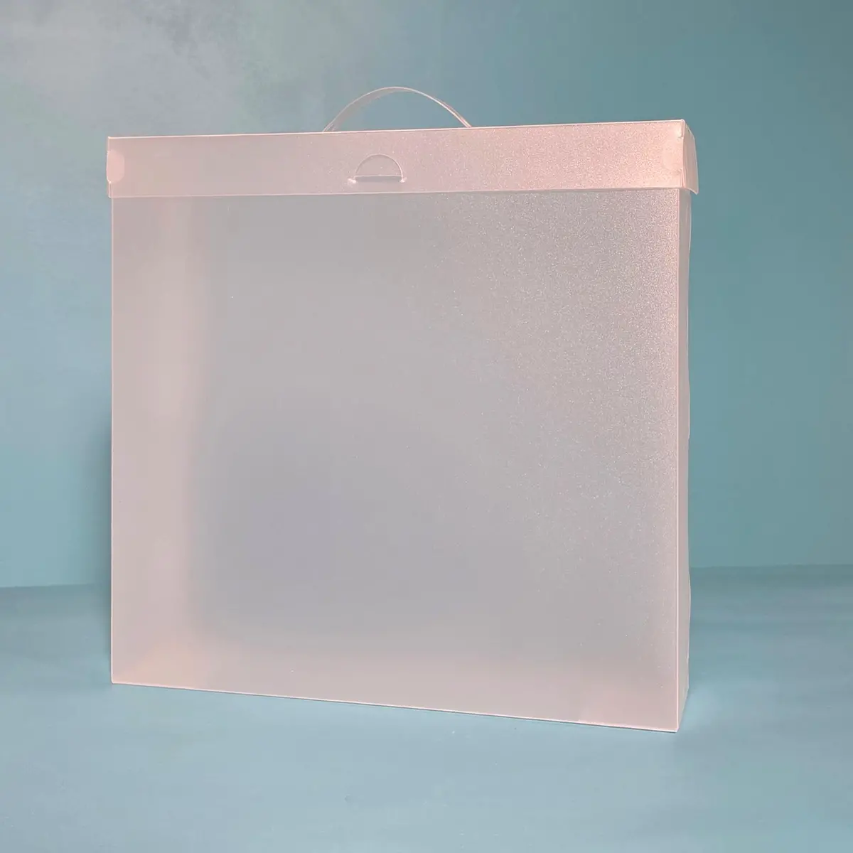The Organized Option 12X12 File Master Storage Box With 5 Pockets 1