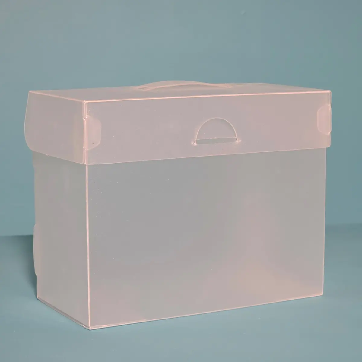 The Organized Option 4X6 File Master Storage Box With 5 Pockets 1