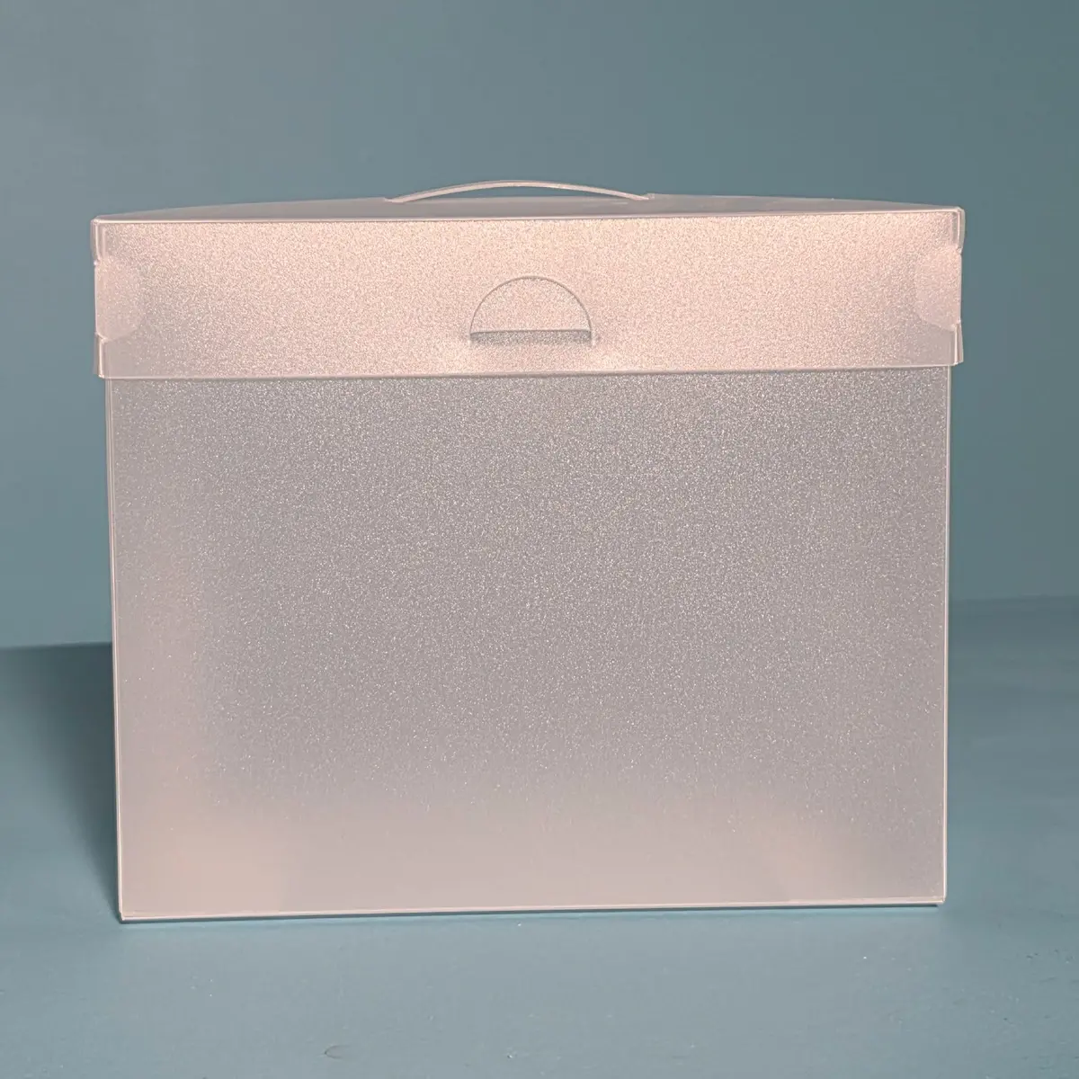 The Organized Option 5X7 File Master Storage Box With 5 Pockets 1