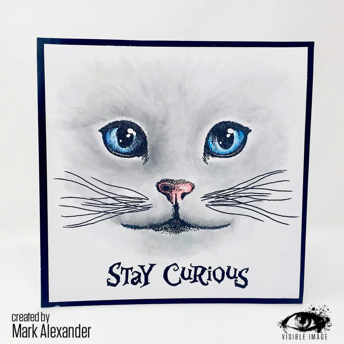 Visible Image Curious Cats - A6 Stamp Set 2