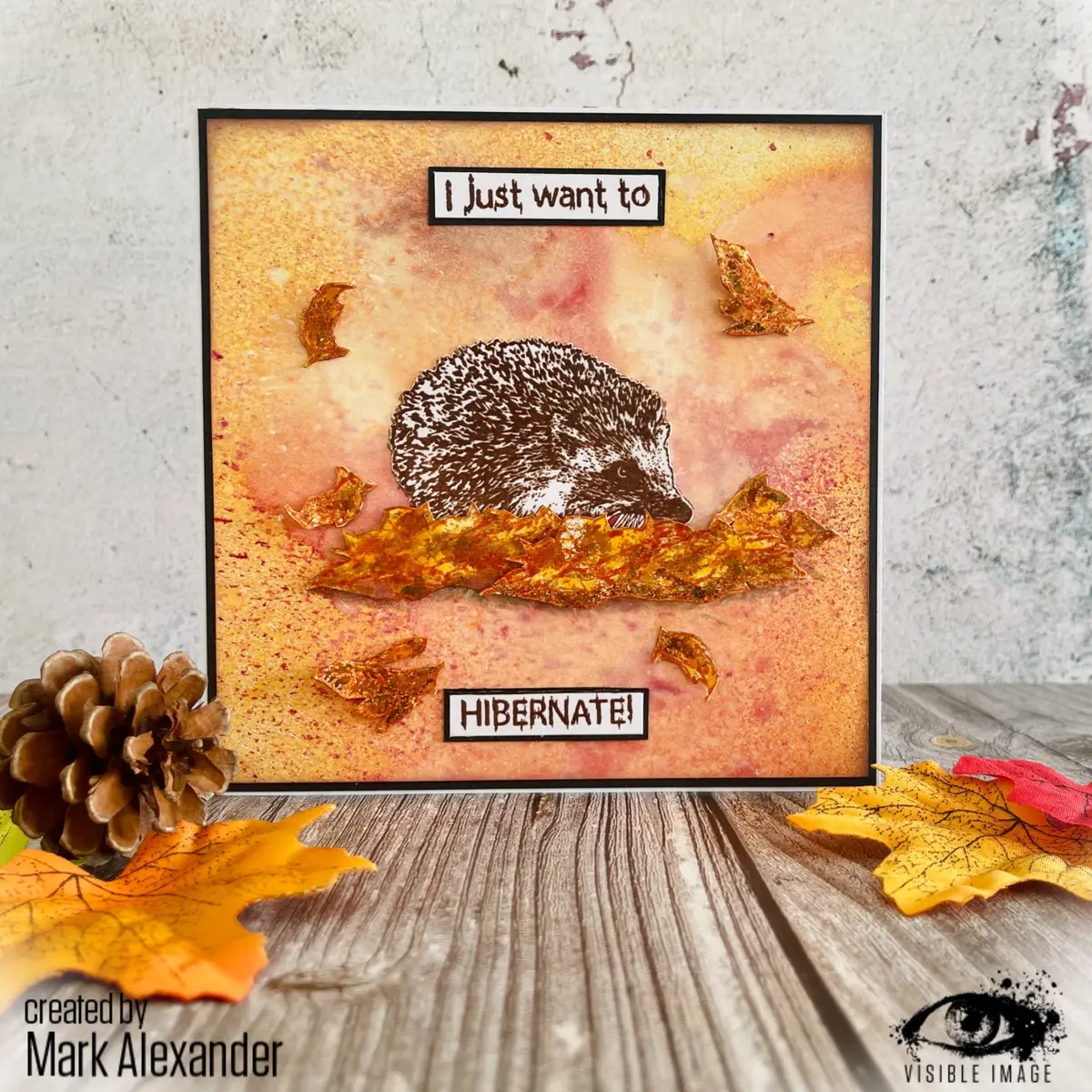 Visible Image Hedgehog Hugs - A6 Stamp Set 2