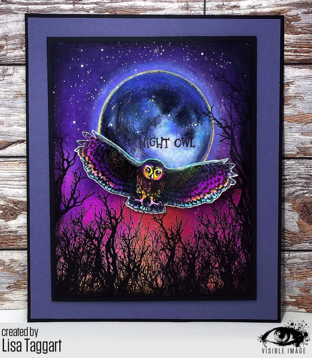 Visible Image Night Owl - A6 Stamp Set 2