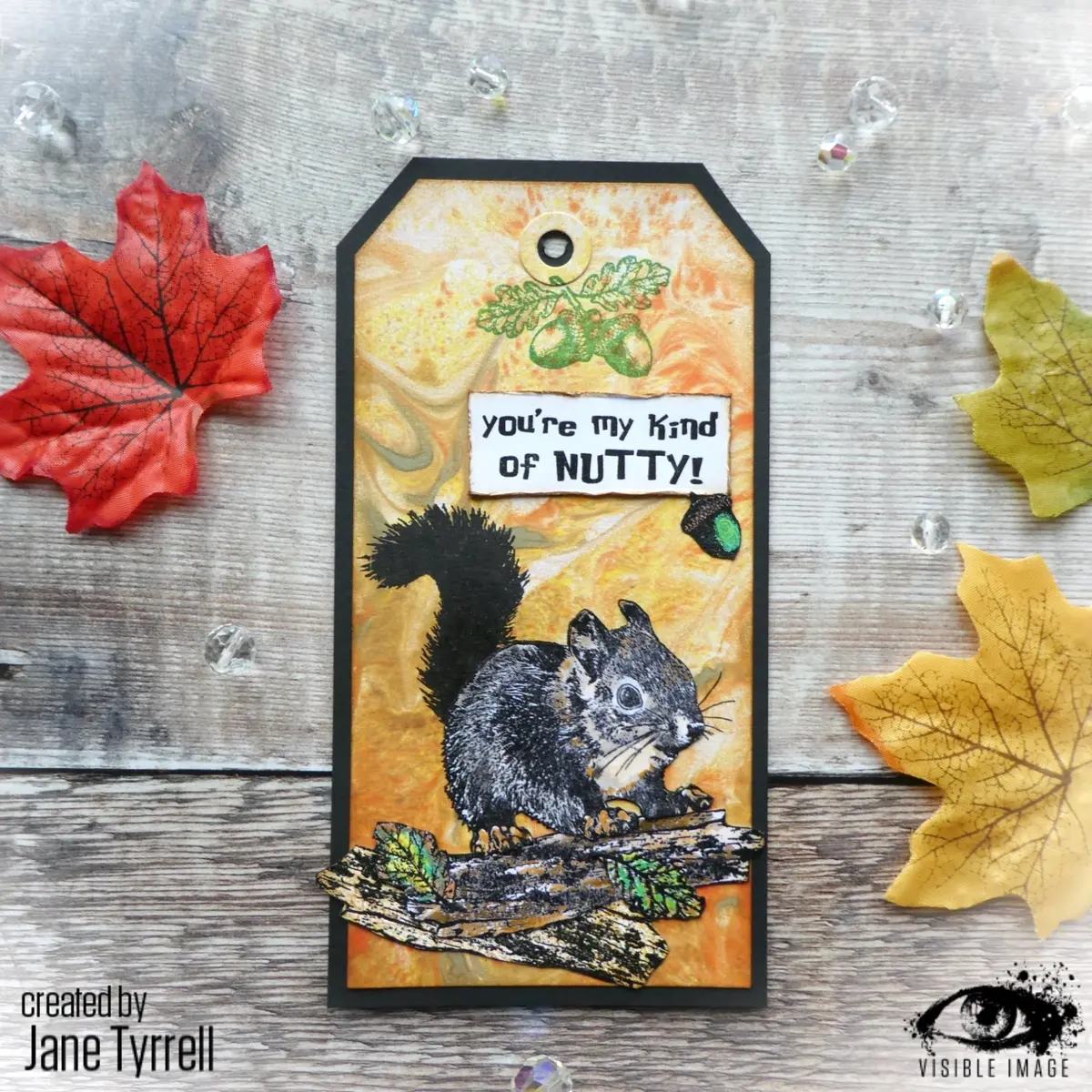Visible Image Nuts About Squirrels - A6 Stamp Set 2