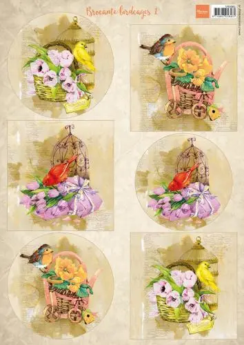 Cutting Sheet Birds & Birdcages 1 A4 1
