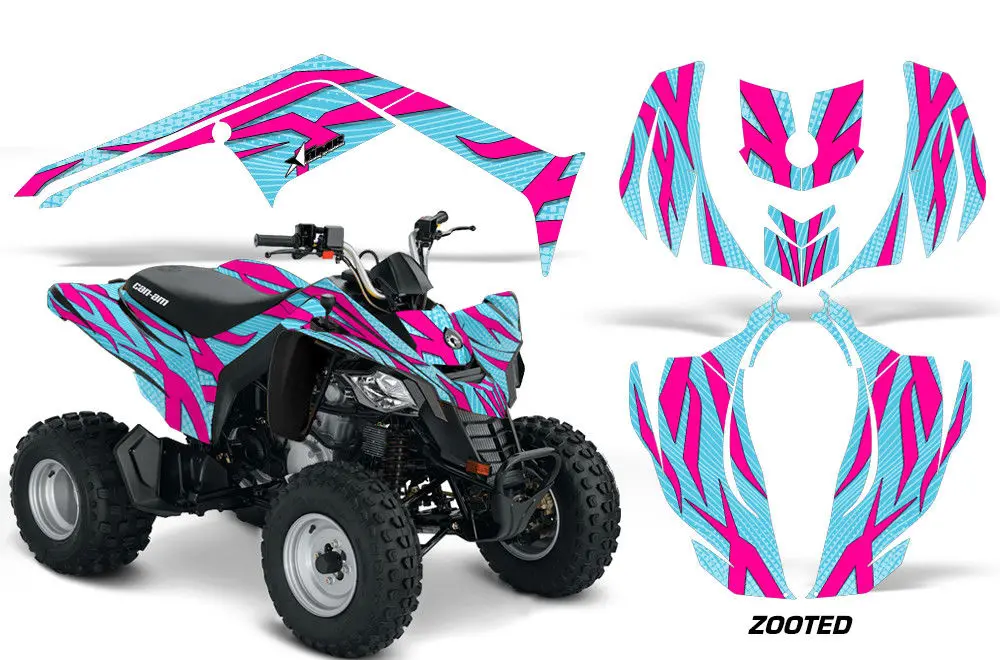 Can Am Ds250 Graphics (Bombardier Ds 250) 2006-2023 1