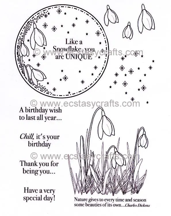Snowdrop Elements Stamp Set 1