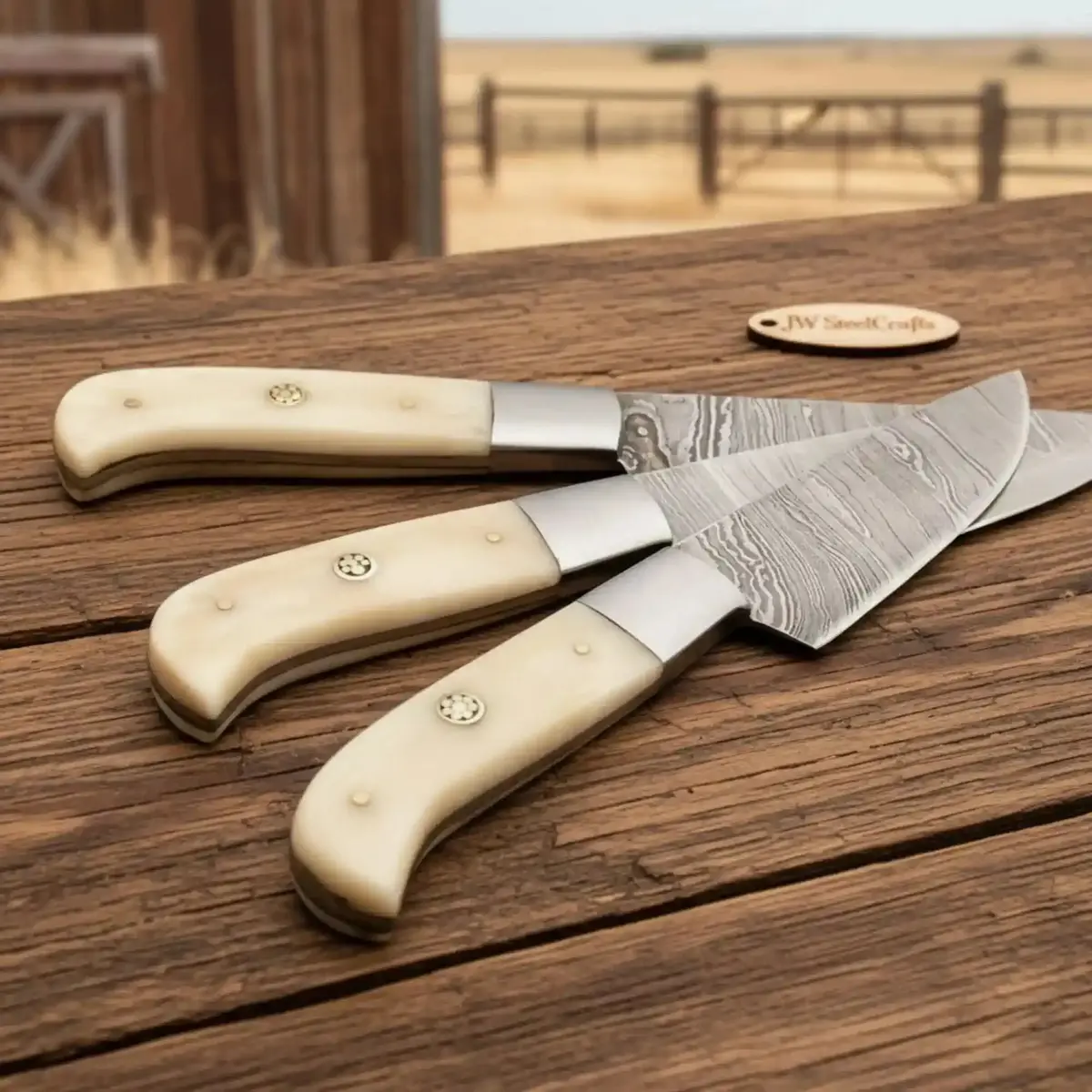 Hand-Forged Twisted Damascus Steak Knife Set (4 Pcs) — Steel Bolster, Full Tang Construction 1