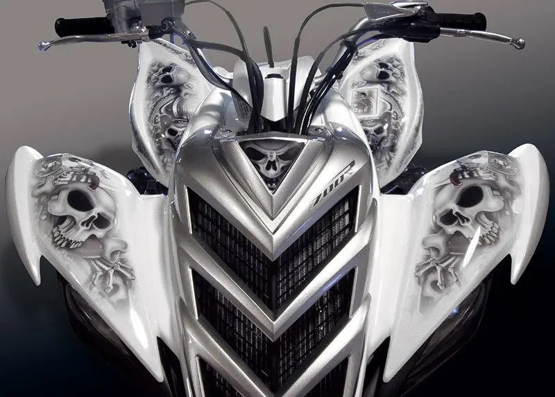 Yamaha Raptor 700 Graphics (2006-2012) 1
