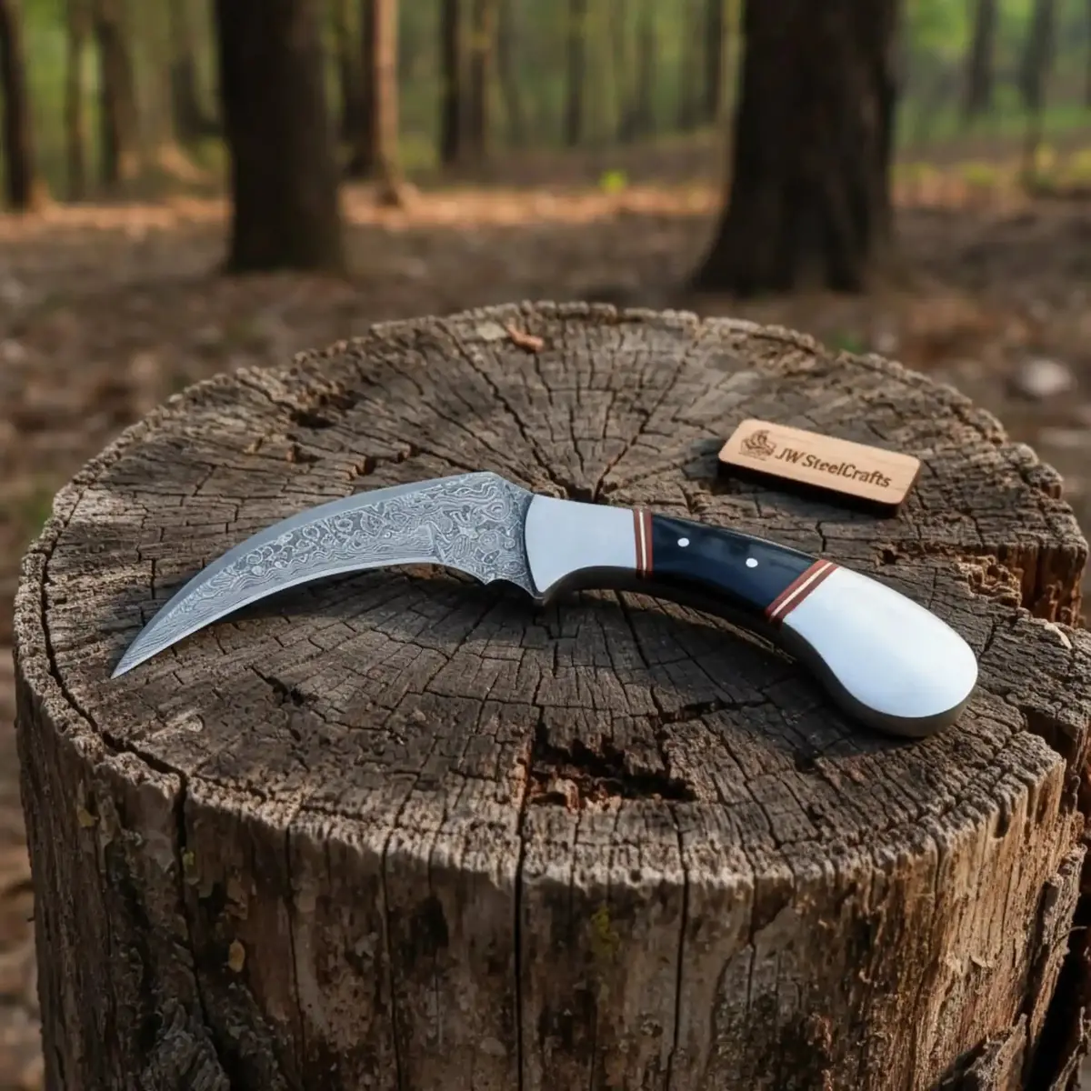 Karambit Knife With Black Horn And Stainless Steel Handle. 1