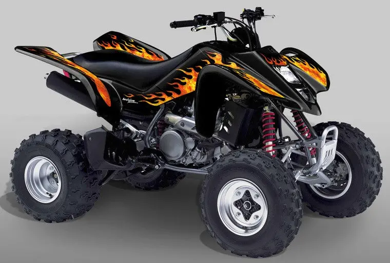 Kawasaki Kfx 400 Graphics 1