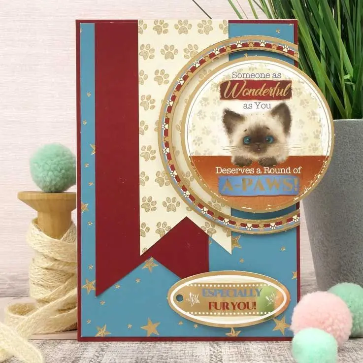 From Meow To You Adorable Scorable Selection 2