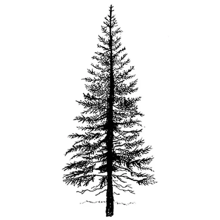 Lavinia Stamp - Fir Tree 1 1