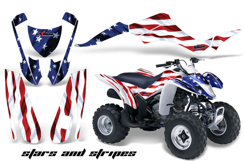 Suzuki Lt Z250 Graphics 1