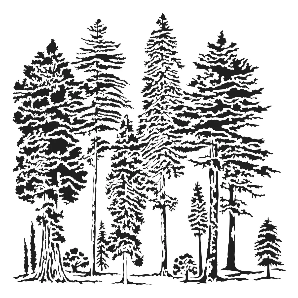 The Crafters Workshop 6X6 Stencil Majestic Forest 1